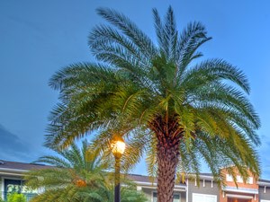 Bell at Universal Pool